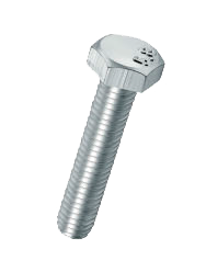 Hexagonal Head Bolt